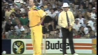 kepler wessels 81 vs Australia WC 1992 [upl. by Ahsil653]