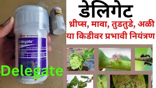 delegate insecticide अळी थ्रीप्स मवा तुडतुडे या किडींवर नियंत्रण agriculture farmer viral [upl. by Mireielle310]