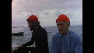 The Undersea World of Jacques Cousteau  E24  The Singing Whale  Documentary [upl. by Nadeau907]