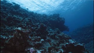 Expedition Tonga  Physical Oceanography [upl. by Anerroc685]