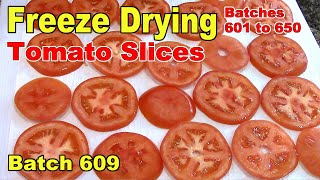 Batch 609 Freeze Drying Tomato Slices [upl. by Wehhtam]