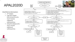 074 Novel venetoclax combinations for relapsed pediatric leukemial [upl. by Aneeres]