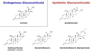 Glucocorticoids Mechanisms and Side Effects [upl. by Ayekim]