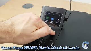 Canon Pixma MG4250 How to Check Estimated Ink Levels [upl. by Nodab]