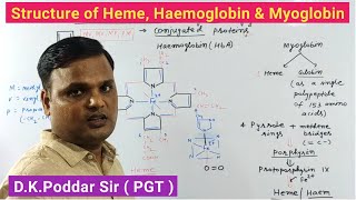 Structure of HaemoglobinMyoglobinHemePorphyrinProtoporphyrin lXConjugated ProteinsBiochemistry [upl. by Warton390]