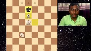 Checkmate with Bishop and Knight  Part1  chess chessgame endgame [upl. by Topping]