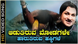 Aaduthiruva Modagale  Video Song  Dr Rajkumar  P B Srinivas  Bettada Huli Kannada Movie Songs [upl. by Acinimod]