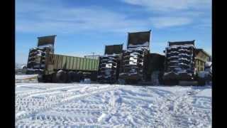 Custom farming in Canada Bij Holtrop enterprises in Lacombe Alberta [upl. by Tristram411]