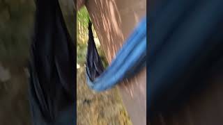 Hammock and Tarp setup [upl. by Quirita]