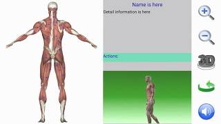 Visual Anatomy App Demo [upl. by Yeldoow]