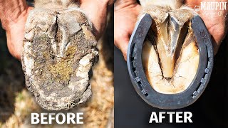 Satisfying Full Horse Hoof Restoration  4K FARRIER ASMR [upl. by Ahen]