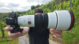 Sony 300mm F28 GM Review  beeindruckend gut [upl. by Congdon]