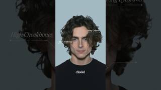 What Makes Timothee Chalamet So Attractive [upl. by Michiko]