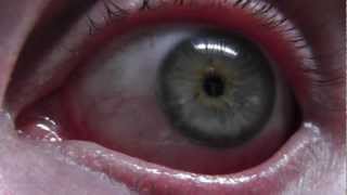 Eye Want To ASMR You  Experimental Improvised ASMR Performance [upl. by Ilysa]