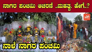 Nagara Panchami Festival 2020  Nagara Panchami Pooja Vidhana in kannada  YOYO Kannada News [upl. by Anyad]