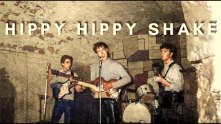 Beatles  The Hippy Hippy Shake  bass cover [upl. by Atileda636]