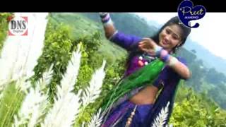 Sadri Song  Sadi Tor Sadi  Jyoti Sahu  Shiva Music Jhollywood [upl. by Attenaz345]