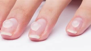 Ongle Gel Polygel Acrygel  Artistic PUTTY  Les possibilités du produits [upl. by Iredale474]