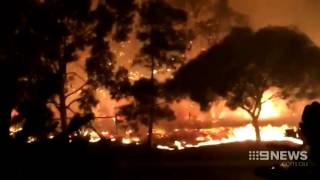 Yangebup Firebugs  9 News Perth [upl. by Adiv526]