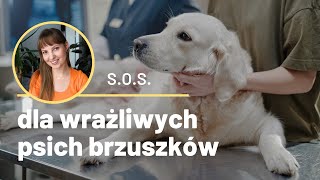 Ratunek dla psich wrażliwców  Układ pokarmowy psa w równowadze  Jak to osiągnąć [upl. by Gwenny]