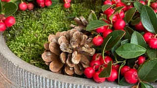 ❄️ Wintergreen  Gaultheria  Arrangement ❄️ [upl. by Marka]