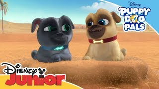 Puppy Dog Pals  Dig Song  Official Disney Channel Africa [upl. by Essilec]