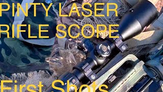 First Shots with the PINTY 39x42 Laser Rifle Combo Test 1 [upl. by Allan]