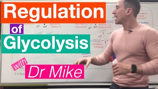 Glycolysis  Metabolism [upl. by Jadd]