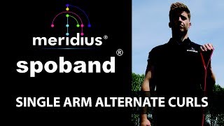 Spoband® Exercise Single Arm Alternate Curls [upl. by Aicinet]