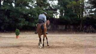 Doma Vaquera Spanish Cowboy Western Dressage  Antonio Quinta con Legendario [upl. by Teyugn]