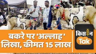 Bakrid 2023 Urdu Bazaar में इस बकरे की कीमत है 15 लाख रुपये जानें क्यों है इतना महंगा  Kisan Tak [upl. by Aleira320]