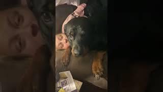 Rottweiler in trouble and growls for forgiveness while squishing mom [upl. by Merri]