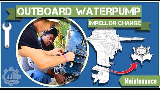 Impeller Change on a Johnson Evinrude 15HP 2 Stroke Outboard Engine Using Waterpump Service Kit [upl. by Rehpotsrihc727]