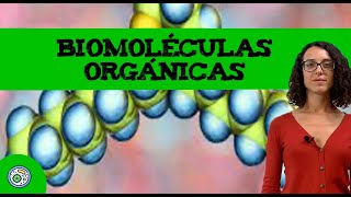 Biomoleculas organicas 🔬 ejemplos y funcion [upl. by Nnylaf419]