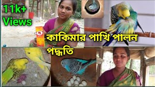 সুন্দর বন মানুষের পাখি পালন নিয়ে অভিজ্ঞতা। কাকিমার বদ্রি পাখি পালন পদ্ধতি। [upl. by Oilasor]