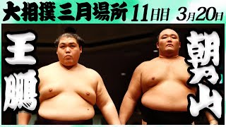 大相撲 王鵬ー朝乃山＜令和６年三月場所・１１日目＞SUMO [upl. by Kassey]