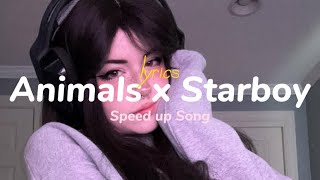 Animals x Starboy lyrics speedup tiktok remix [upl. by Novehc]