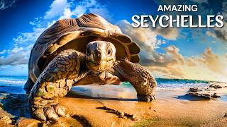 Stunning Seychelles Islands  Top 10 Places To Visit In Seychelles [upl. by Ronna257]