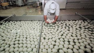 Amazing BREAD Processing  How Its Made Inside Factory [upl. by Humfrey]