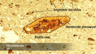 Hornblende vs Biotite under PPL and XPL [upl. by Dorrej]