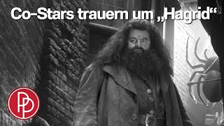 „Hagrid“ gestorben SO trauern die „Harry Potter“Stars um Robbie Coltrane • PROMIPOOL [upl. by Nashbar]