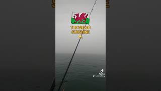 The Welsh sunshine fortnightfishing fog [upl. by Ahsiekal]