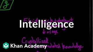 Intelligence  Processing the Environment  MCAT  Khan Academy [upl. by Ecitnerp389]