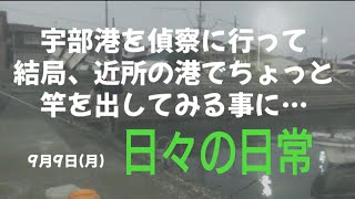 【9月9日】日常の釣り【ちょっと偵察からの…】 [upl. by Anwahsit]