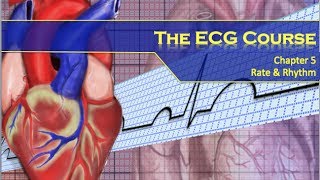 The ECG Course  Rate amp Rhythm [upl. by Ayotahc263]