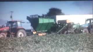 Beet harvester Armer salmon st3 [upl. by Margetts]