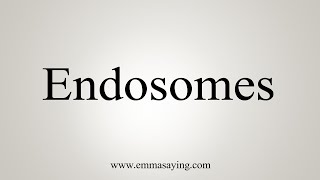 How To Say Endosomes [upl. by Pamela625]