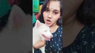 তোমার ওই লোক ধুপুক দেখলে হবে আছে খরচা youtubeshorts newtrending vairalvideo new views shorts [upl. by Atilem566]