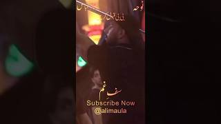 Mesum Abbas New Nohay shortvideo yaali 2024 post new viralvideo abbas karbala ya hussain [upl. by Nnylatsyrk]