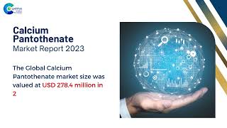 Calcium Pantothenate Market Report 2023  Forecast Market Size amp Growth [upl. by Volding]